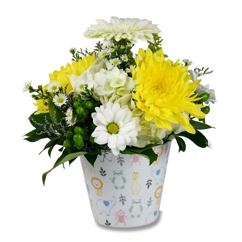 Daisy Baby - Item # 44853 - Dave's Gift Baskets