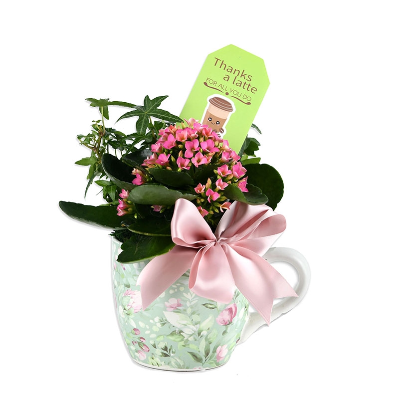 Thanks a Latte - Item # 44896 - Dave's Gift Baskets