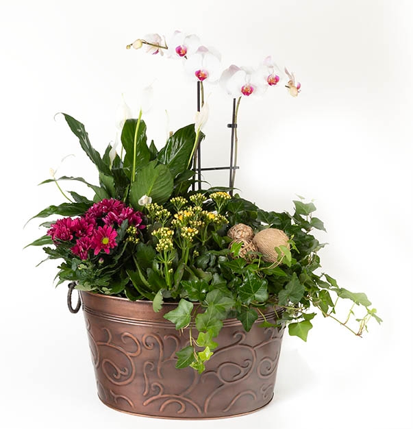 European Spring Garden - Item # 44593 - Dave's Gift Baskets