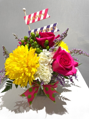 Birthday - Birthday Surprise 