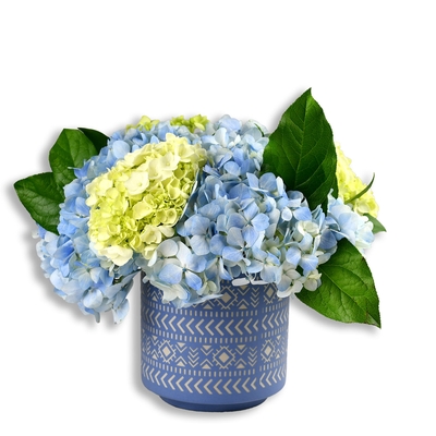 Thank You - Hydrangea Hype - Blue 
