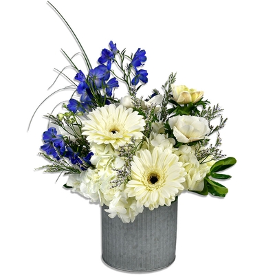 Summer - Sea Anemone