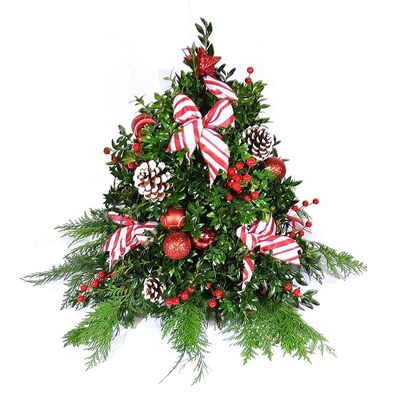 Christmas - Decorated Boxwood