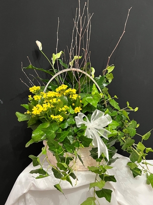 Dish Gardens - European Spring Garden