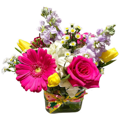 Winter floral
