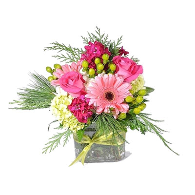 Winter floral