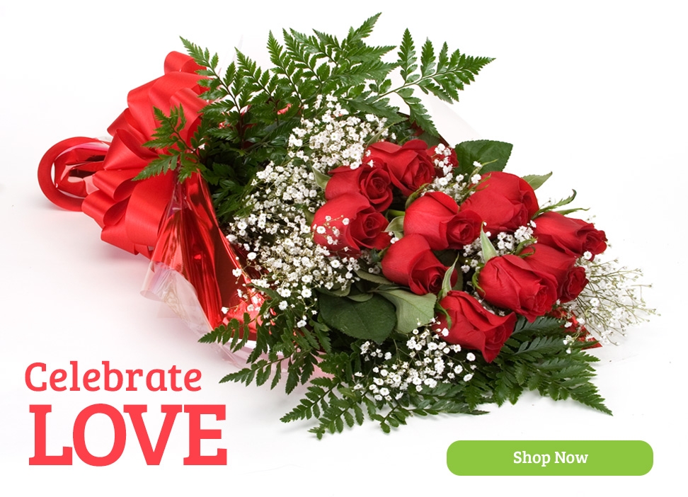 Celebrate Love with a Dozen Red Roses from Dave's Gift Baskets