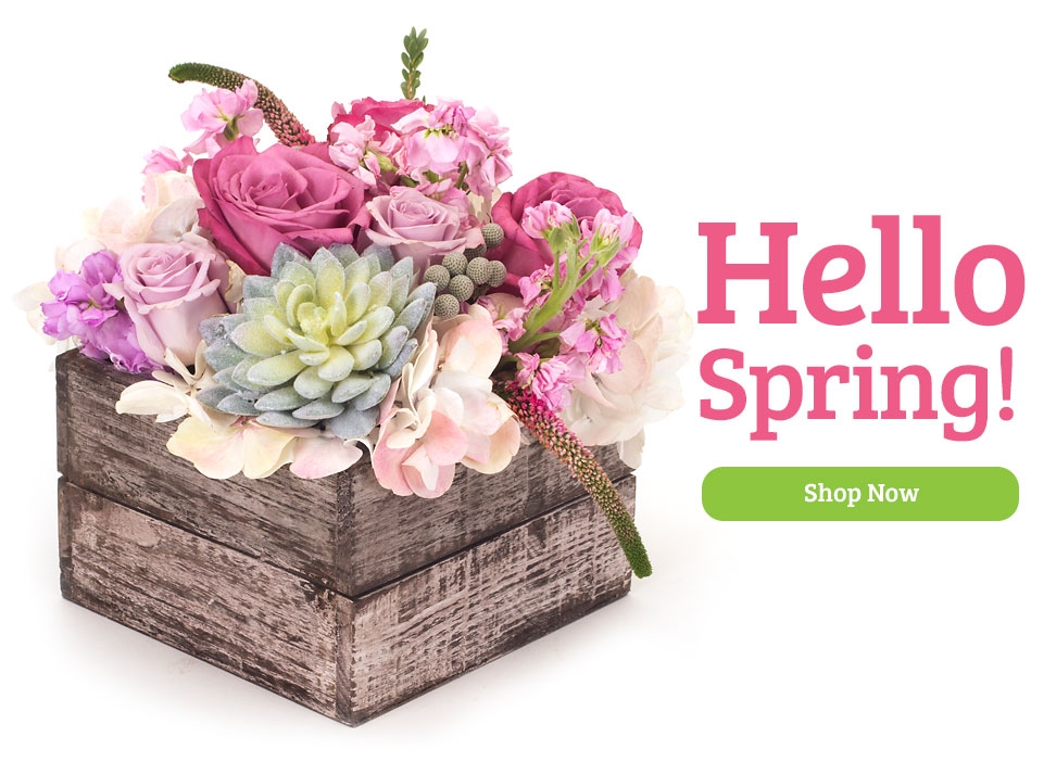 Say Hello to Spring with Bloom Box Sophia from Dave's Gift Baskets