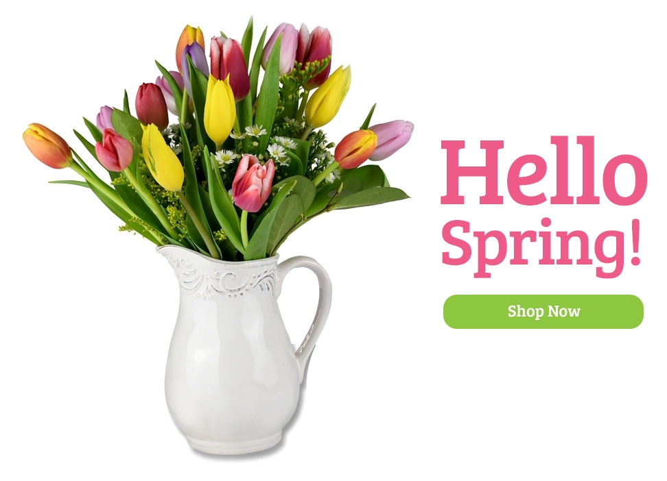 Say Hello to Spring with Bloom Box Sophia from Dave's Gift Baskets